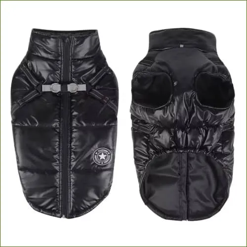 Manteau harnais réfléchissant pour Bouledogue Français, pensé pour la ville