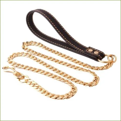 Laisse en chaine pour chien, solide et design