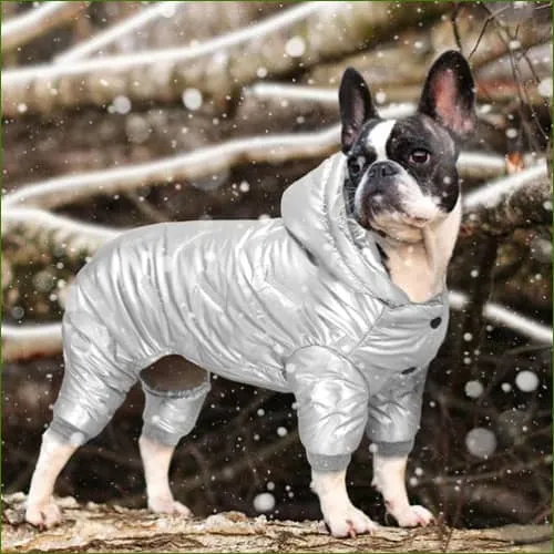 Vêtement d'hiver pour chien chaud et design