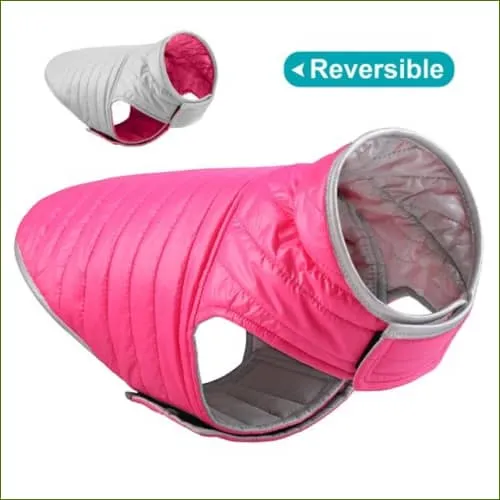 Veste imperméable manches courtes pour Bouledogue Français, pensée pour la pluie