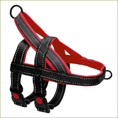 Harnais pour Boxer - double sangle - anti traction