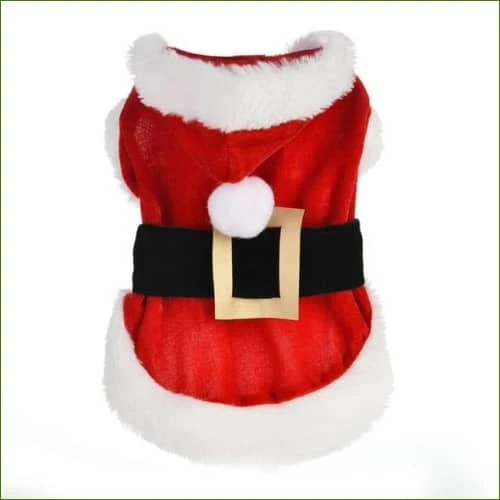 Déguisement de noel pour chien