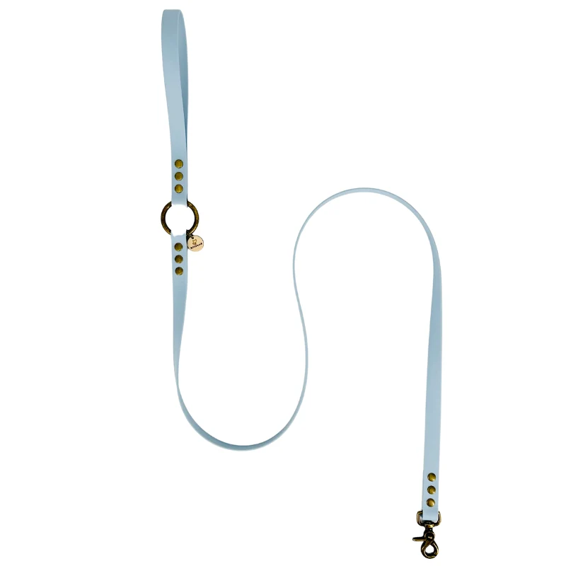 Laisse pour chien biothane - CIEL