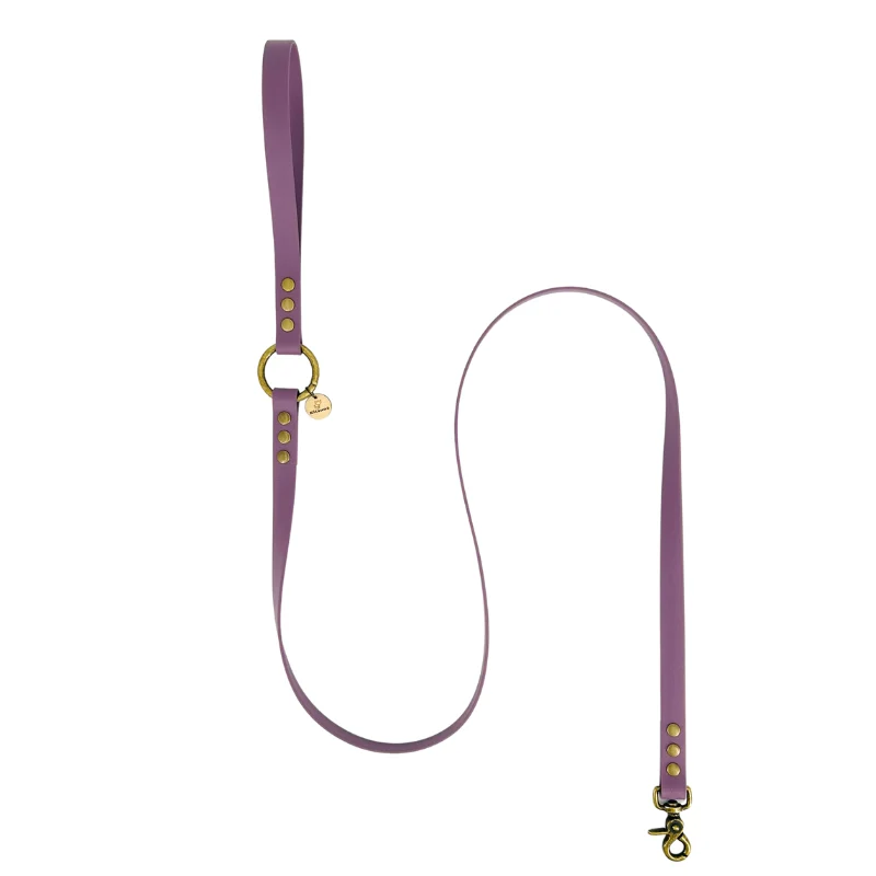 Laisse pour chien biothane - LILAS