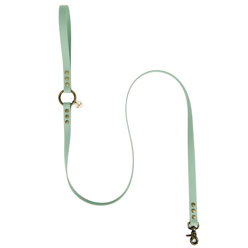 Laisse pour chien biothane - MINT