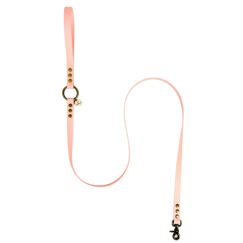 Laisse pour chien biothane - BONBON ROSE