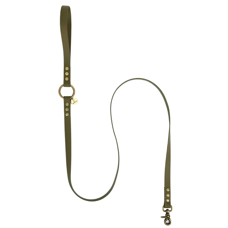 Laisse pour chien biothane - OLIVE