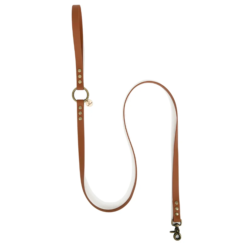 Laisse pour chien biothane - MONTMARTRE