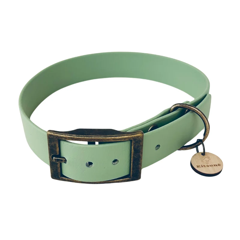 Collier biothane vert d'eau - MINT