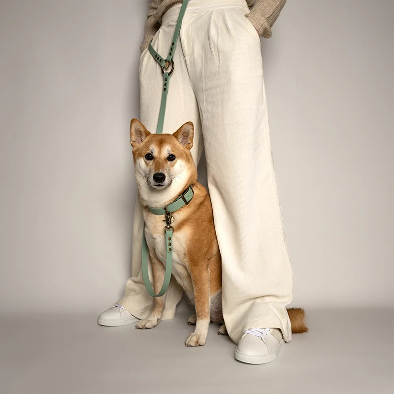 Laisse chien main libre biothane - MINT