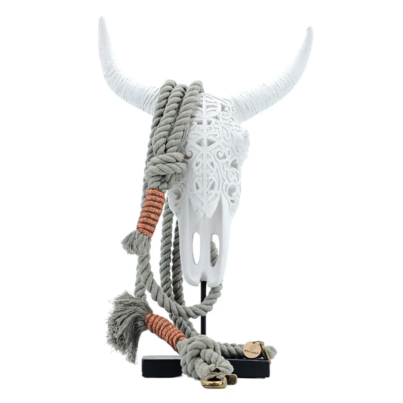Laisse chien main libre corde - AMAZONE