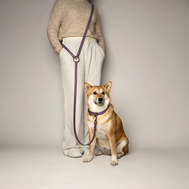Laisse chien main libre biothane - LILAS