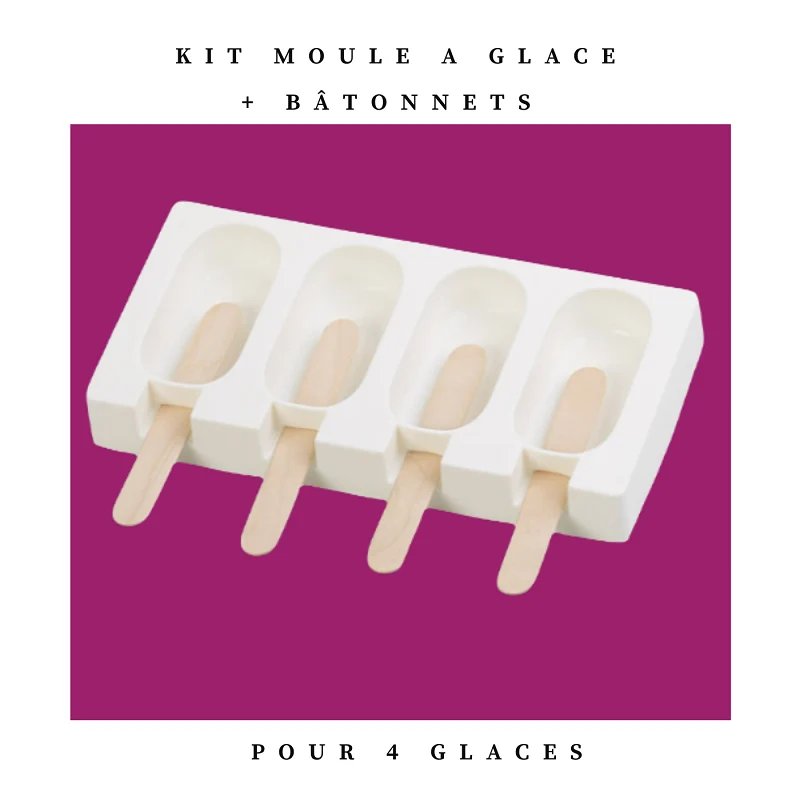 Moule à glace pour chien (4 portions)