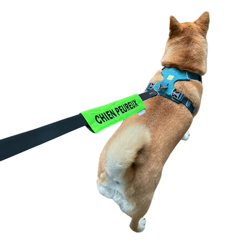 Manchon de laisse pour CHIEN PEUREUX