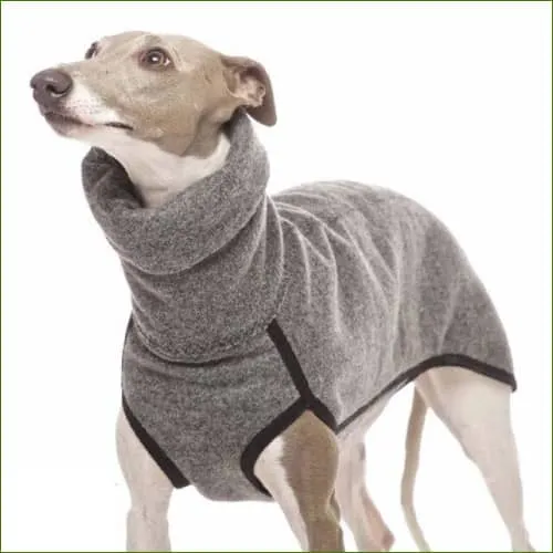 Pull pour lévrier whippet ou lévrier italien à col roulé
