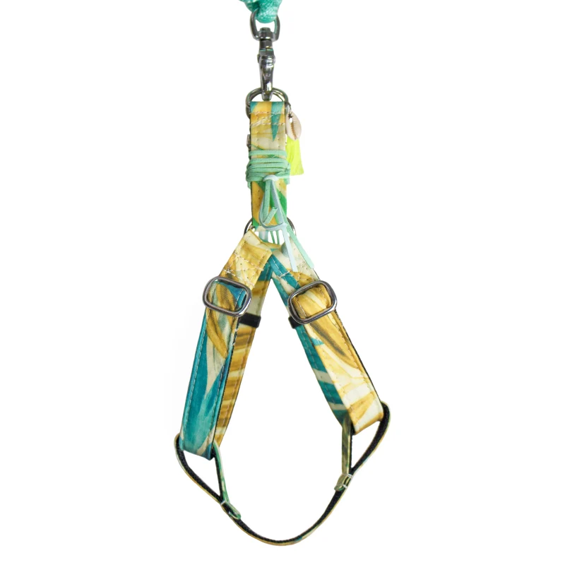 Harnais pour chien TAHITI tailles S, M