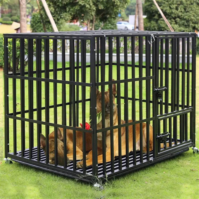 Cage Extérieure Intérieure Robuste Chien L-XXL
