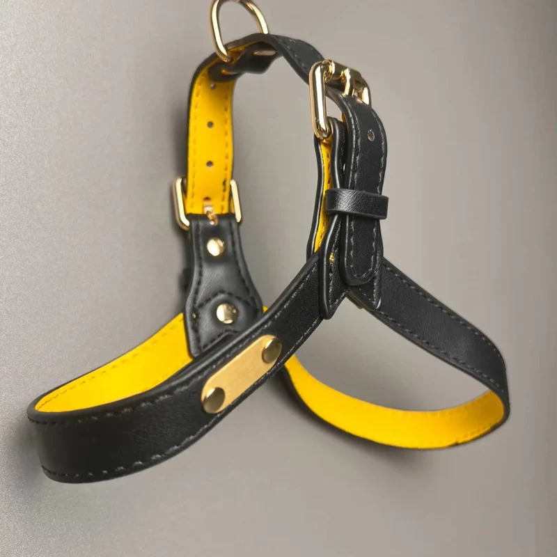Harnais Cuir En Y Noir Résistant Chien