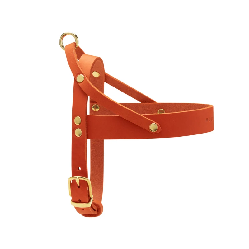 Sellerie Teckel Harnais en T Cuir Butter Mangue