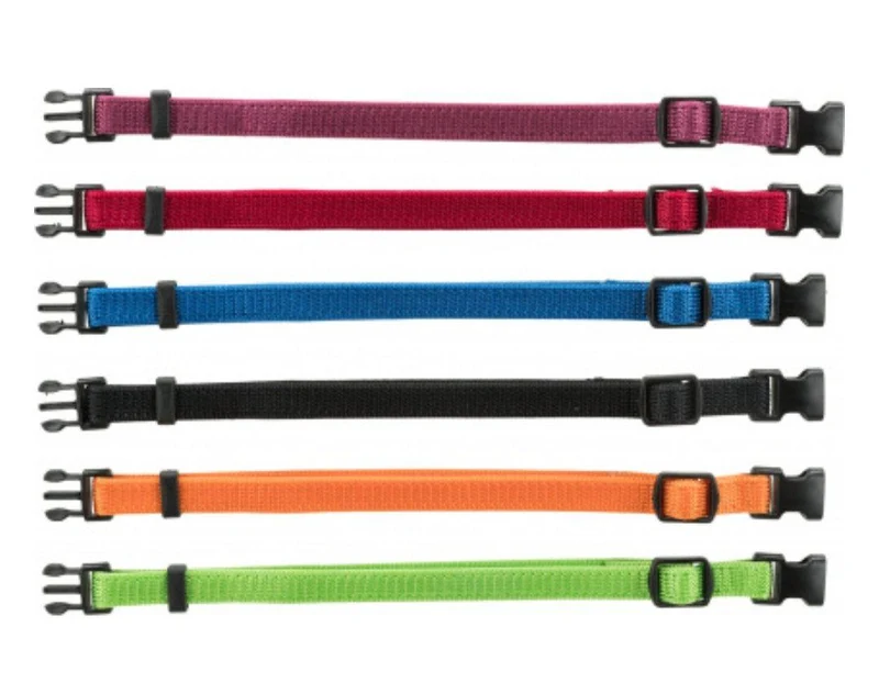 Junior Set collier pour chiot