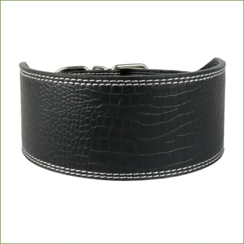 Collier lévrier 75 mm de large en cuir - motifs originaux