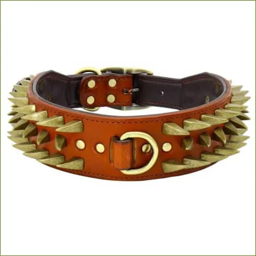 Collier pour bull terrier haut de gamme en cuir avec pointes