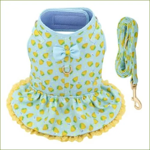 Robe pour chien PILO - élégance, confort et style au quotidien