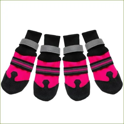 Chaussures imperméables et antidérapantes pour chien