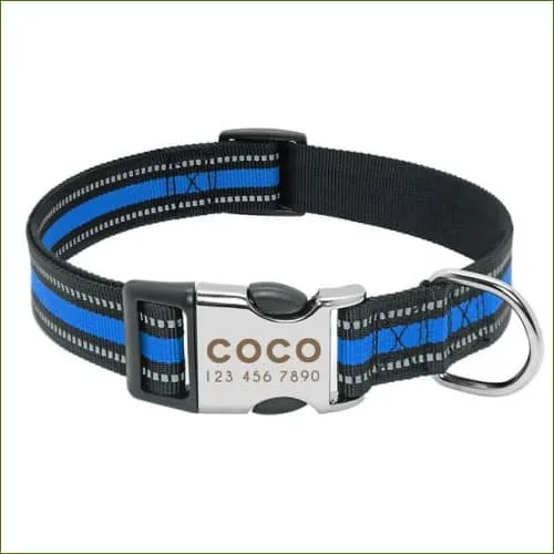 Collier fluo gravé pour chien réfléchissant