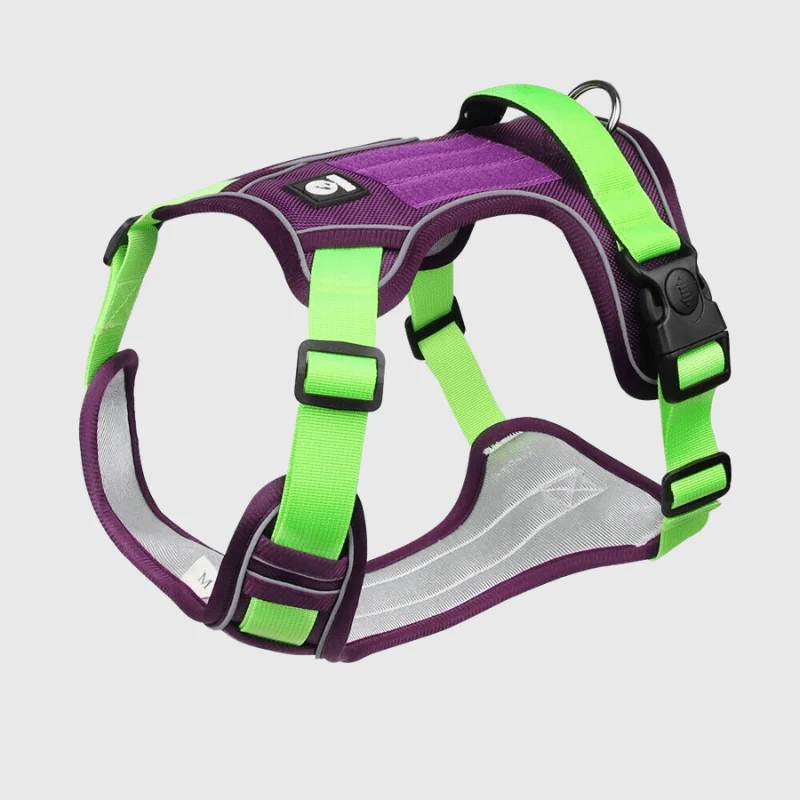 Harnais Vert Violet Gros Chien Anti-Traction
