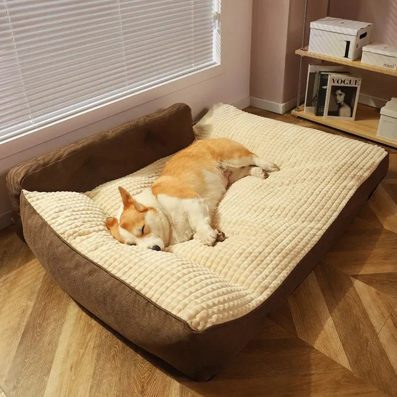 Tapis Moelleux Confortable Gros Chien M à XXL