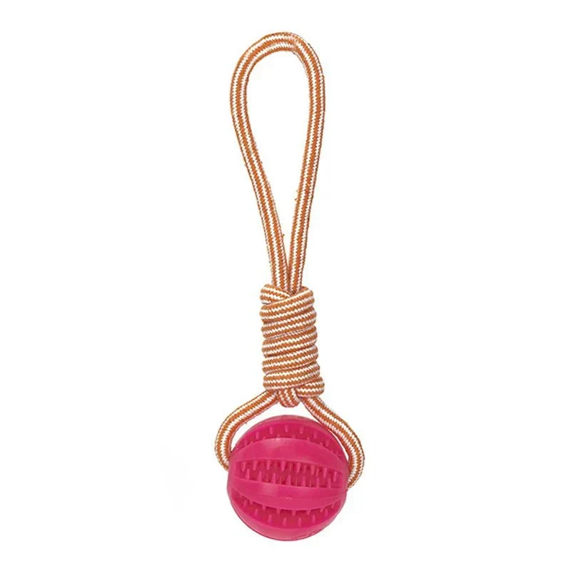 Balle Friandise Interactive Chien Chiot