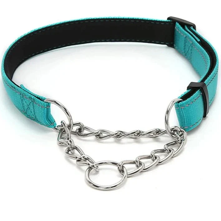 Collier Semi-Étrangleur Nylon Turquoise Gros Chien