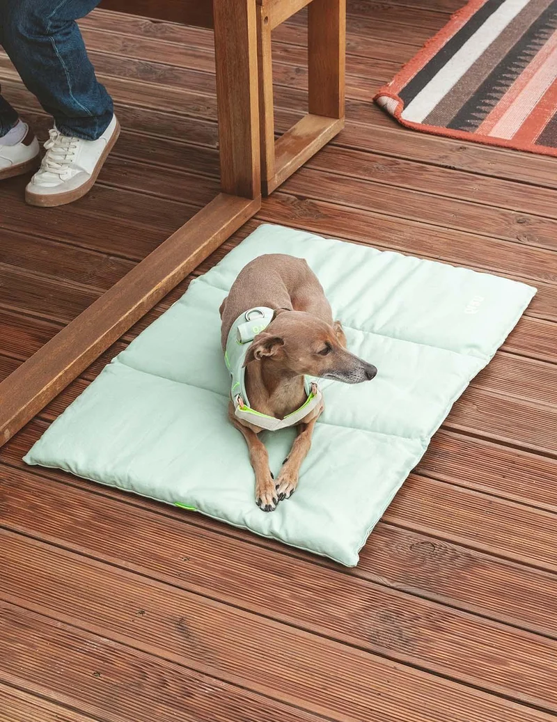 Lit nomade pour chien