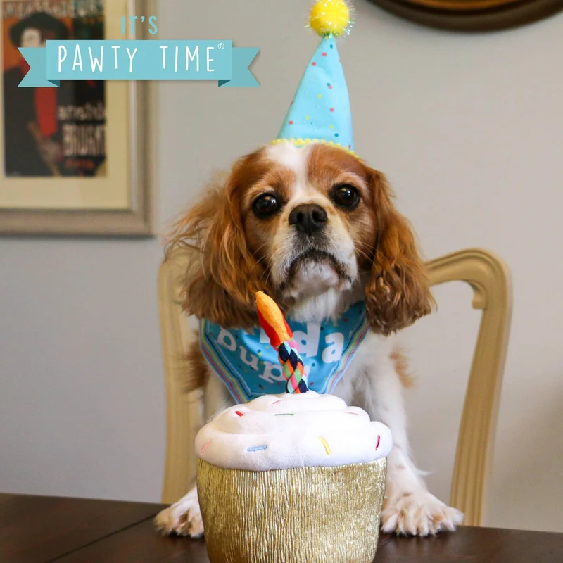 Kit Birthday bonnet et bandana