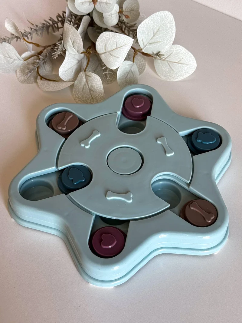 Jouet intelligent puzzle Niveau 2