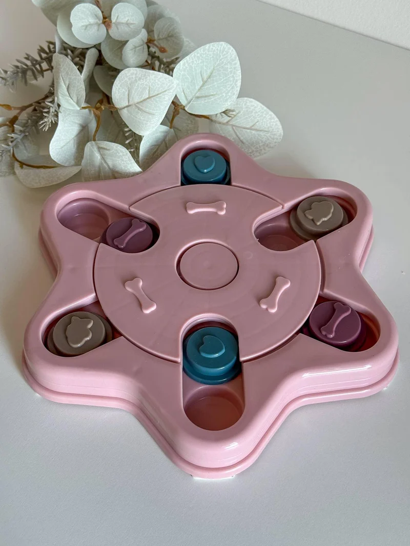 Jouet intelligent puzzle Niveau 2