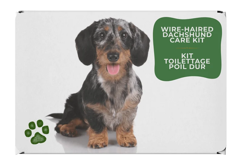 Toilettage Teckel Kit Poil Dur