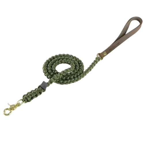 Sellerie Teckel Laisse Touch Militaire