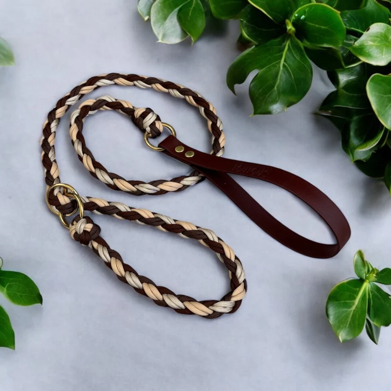 Laisse lasso paracorde · Anti-étranglement