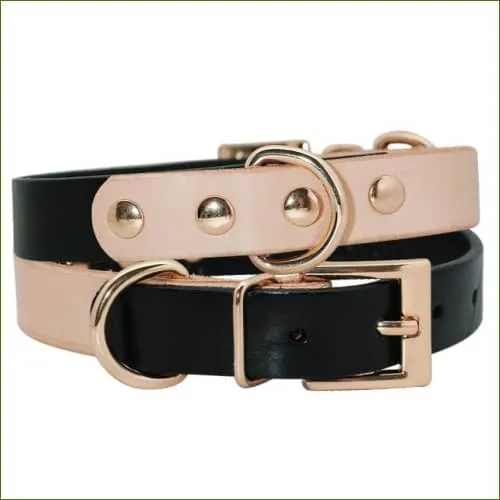 Collier bicolore et ajustable pour petit chien - matière en cuir