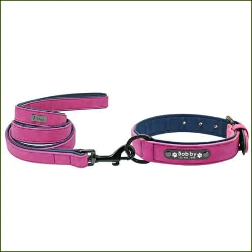 Collier et laisse en cuir MIDOG avec rembourrage néoprène