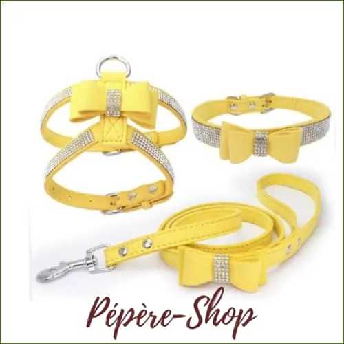 Harnais collier et laisse pour chiot chihuahua ou adulte