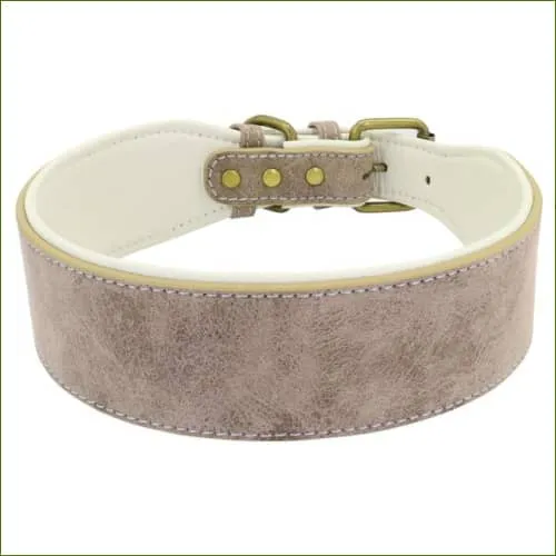 Collier doublé pour gros chien - modèle en cuir