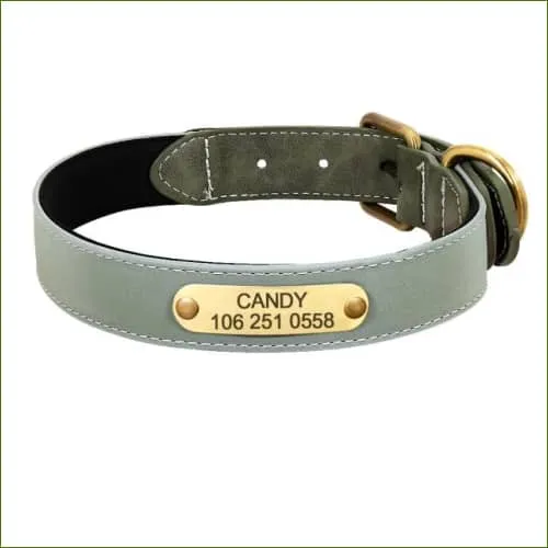 Collier gravé et réfléchissant pour chien en cuir rembourré