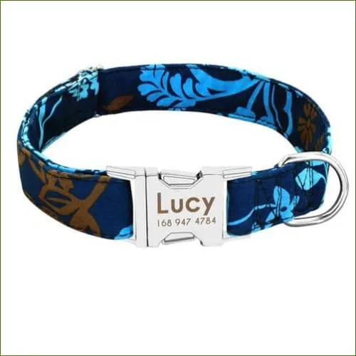 Collier d'identification pour chien original et coloré avec gravure