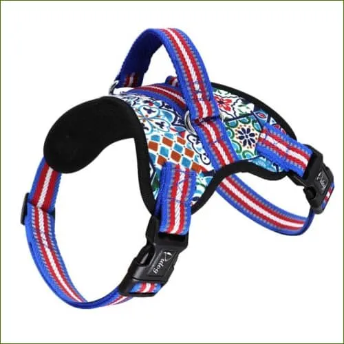 Harnais de promenade pour chien au design fantaisie ajustable et rembourré