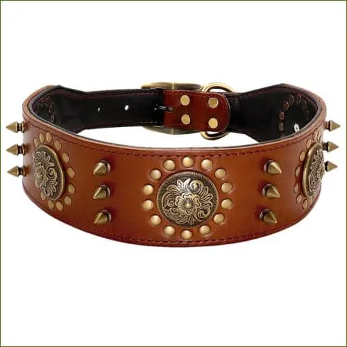 Collier haut de gamme en cuir design pour molosse