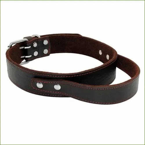 Collier avec poignée pour chien - cuir véritable