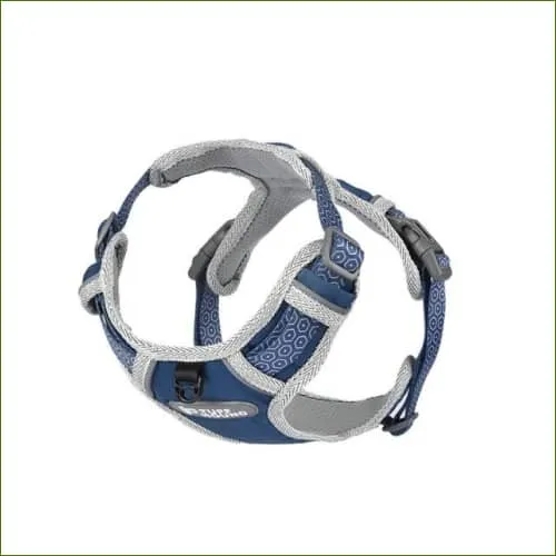 Harnais design fantaisie unique et coloré pour chiens